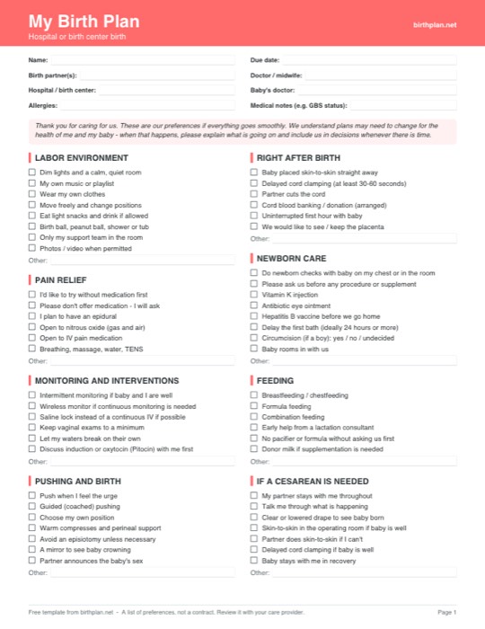 Preview of the free printable hospital birth plan template