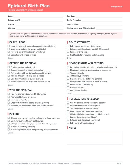 Preview of the free printable epidural birth plan template