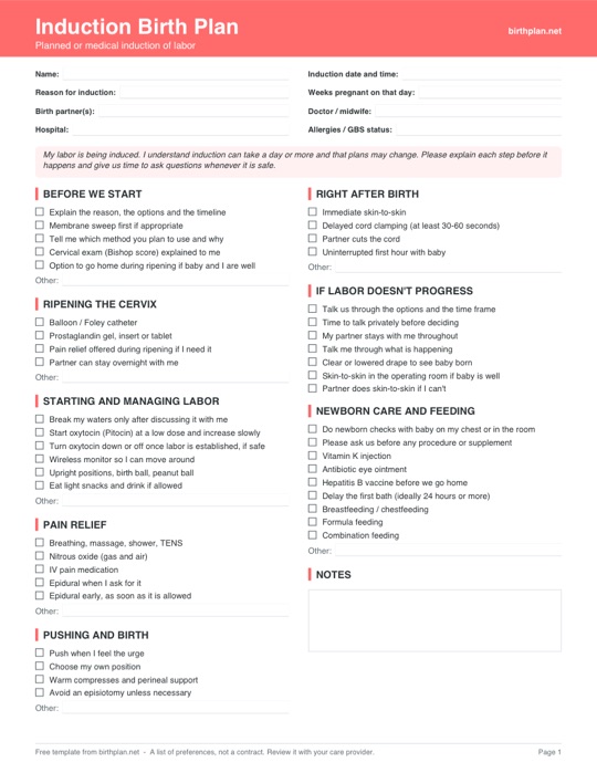 Preview of the free printable induction birth plan template