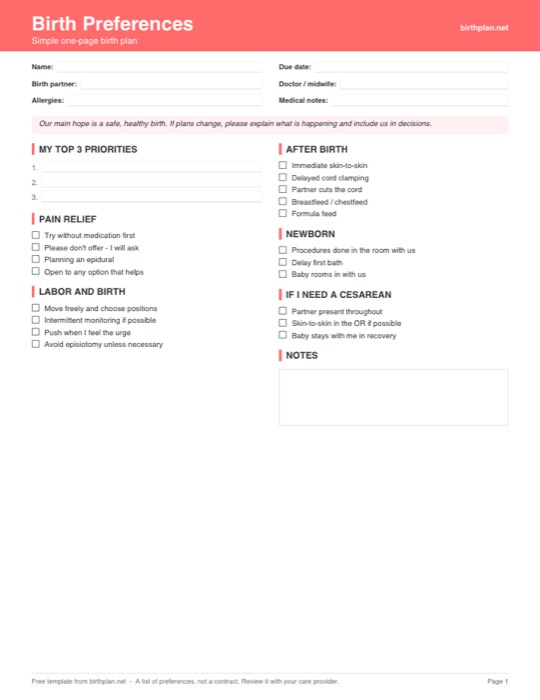Preview of the free printable one-page birth plan template